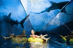 Aquaventure and Lost Chambers