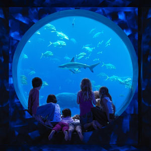 Aquaventure and Lost Chambers