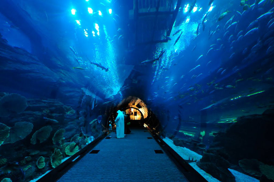 Dubai Aquarium and underwater zoo