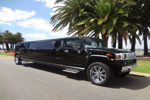Limo Rides