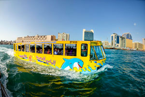 Wonder Bus