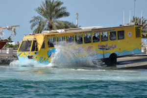 Wonder Bus