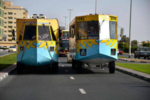 Wonder Bus
